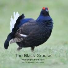 The Black Grouse book cover