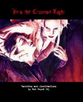 Into the Crimson Light book cover