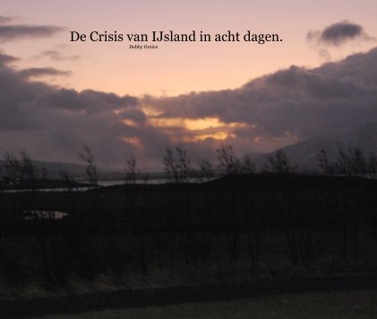 De Crisis van IJsland in acht dagen. Debby Greive book cover