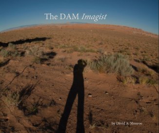The DAM Imagist book cover