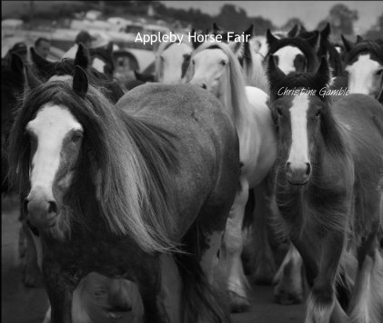 Appleby Horse Fair book cover