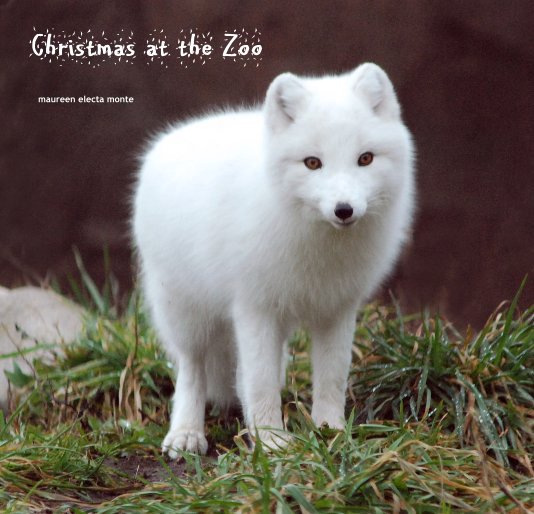 View Christmas at the Zoo by Maureen Electa Monte