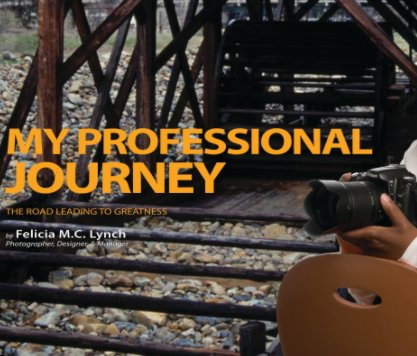 My Professional Journey book cover