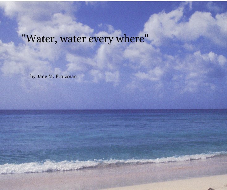View "Water, water every where" by Jane M. Protzman