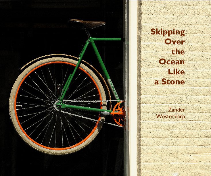 Visualizza Skipping Over the Ocean Like a Stone di Zander Westendarp