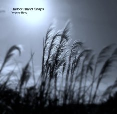 Harbor Island Snaps
    Yvonne Boyd book cover