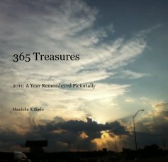 365 Treasures book cover