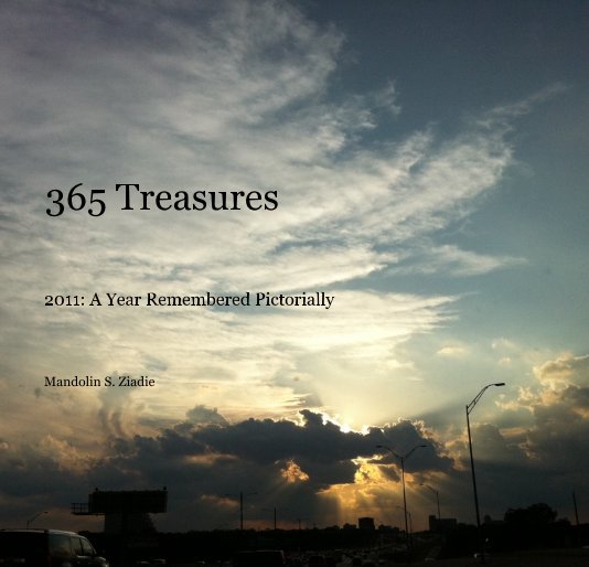 View 365 Treasures by Mandolin S. Ziadie