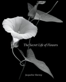 The Secret Life of Flowers book cover