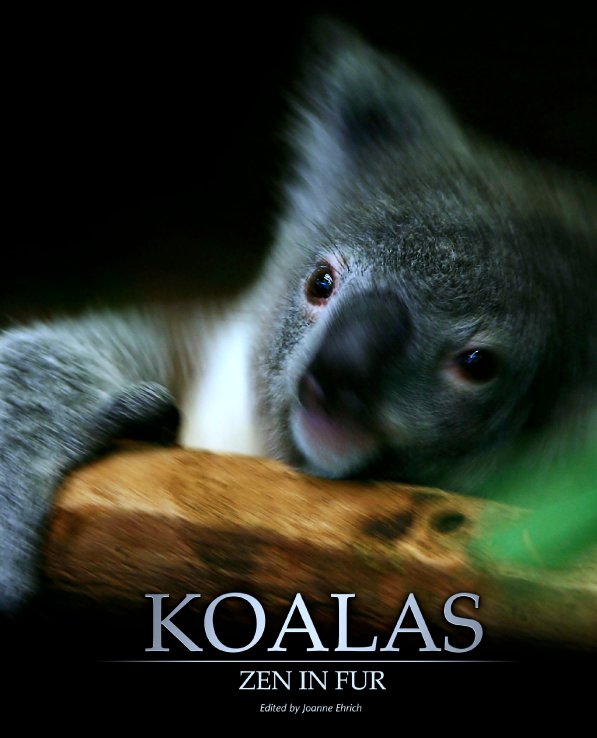 View Koalas: Zen in Fur by Joanne Ehrich