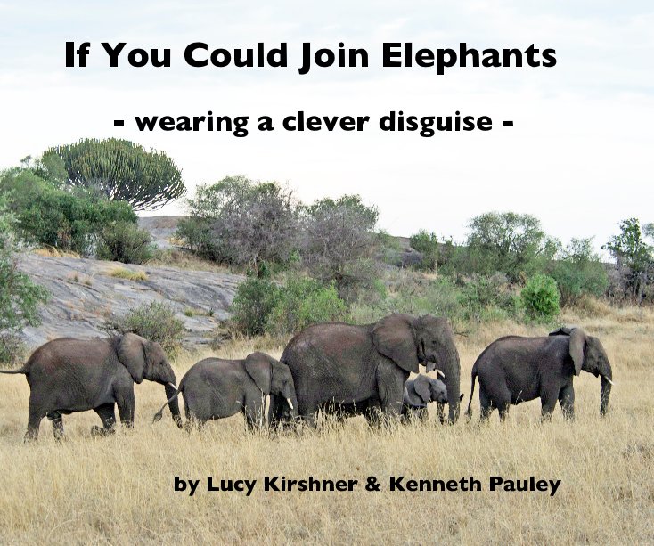 View - wearing a clever disguise - by Lucy Kirshner & Kenneth Pauley