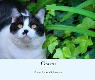 Osceo book cover