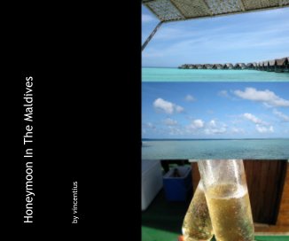 Honeymoon In The Maldives book cover
