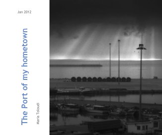 The Port of my hometown book cover