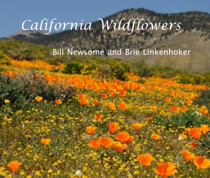 California Wildflowers book cover