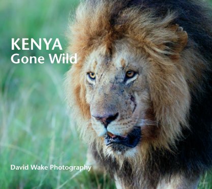 Kenya Gone Wild book cover