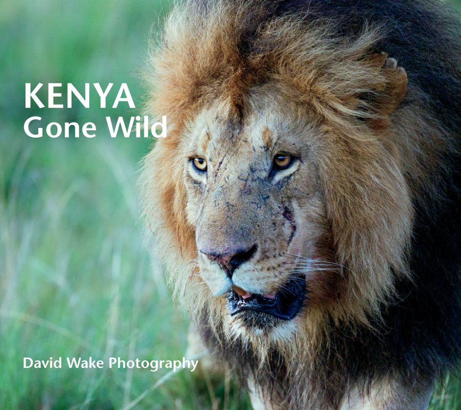 View Kenya Gone Wild by David Wake