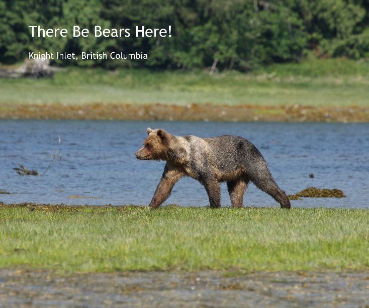 There Be Bears Here! nach Alan Ottini anzeigen