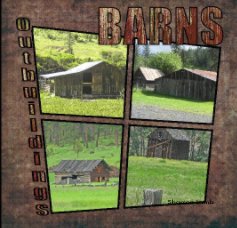 Barns & Outbuildings book cover