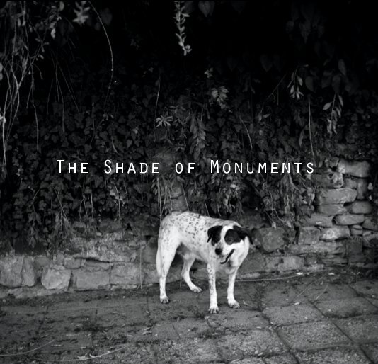 View The Shade of Monuments by Christodoulos Neophytou