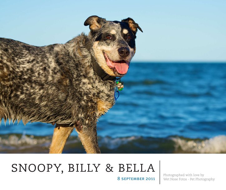 Ver Snoopy, Billy & Bella por Wet Nose Fotos