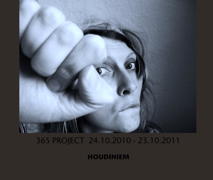 Bekijk 365 Project  24.10.2010 - 23.10.2011 op HOUDINIEM