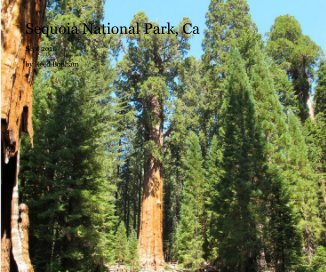 Sequoia National Park, Ca
2011 book cover