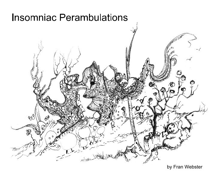 Visualizza Insomniac Perambulations di Fran Webster