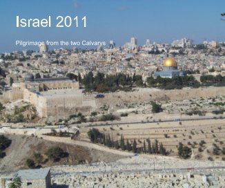 Israel 2011 book cover