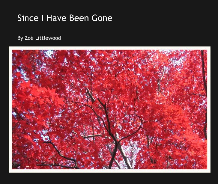 View Since I Have Been Gone by Zoë Littlewood