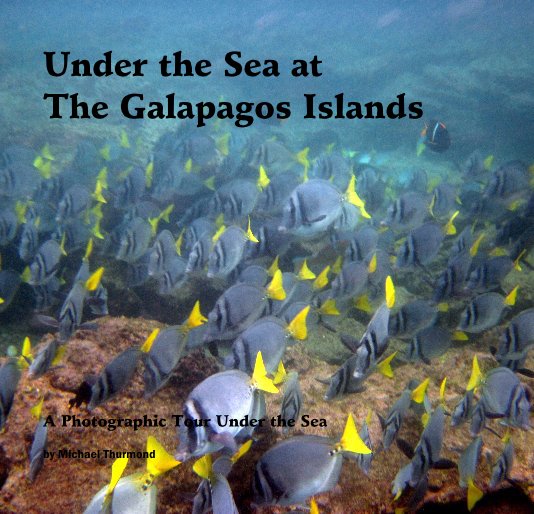 View Under the Sea at The Galapagos Islands by Michael Thurmond