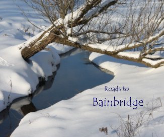 Roads to Bainbridge book cover