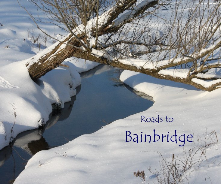 View Roads to Bainbridge by Kira Dott