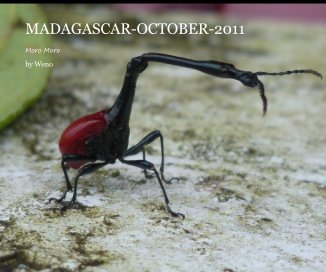 MADAGASCAR-OCTOBER-2011 book cover