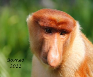 Borneo 2011 book cover