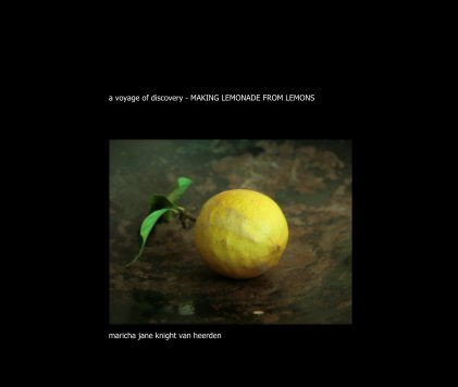 making lemonade from lemons book cover