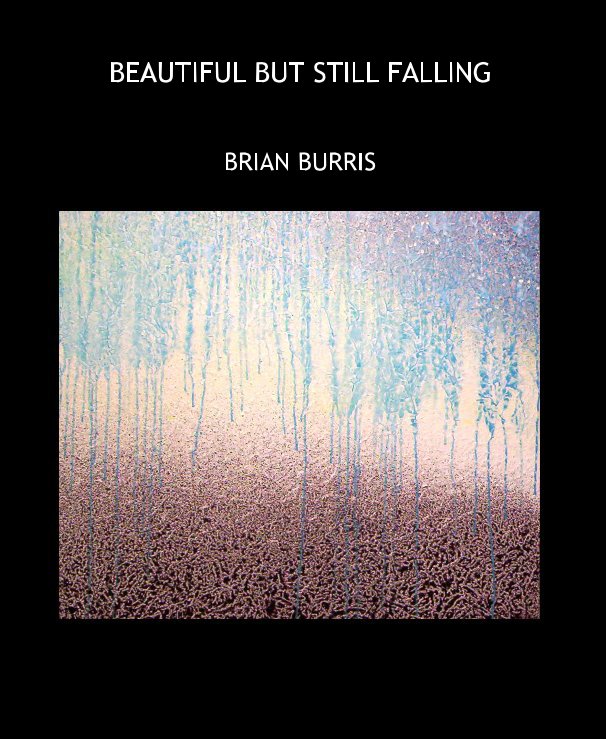 View BEAUTIFUL BUT STILL FALLING by Brian Burris