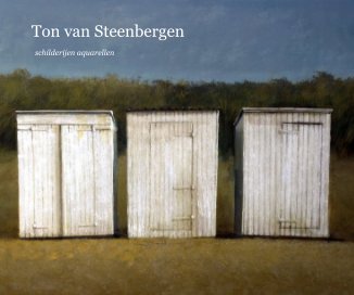 Ton van Steenbergen book cover