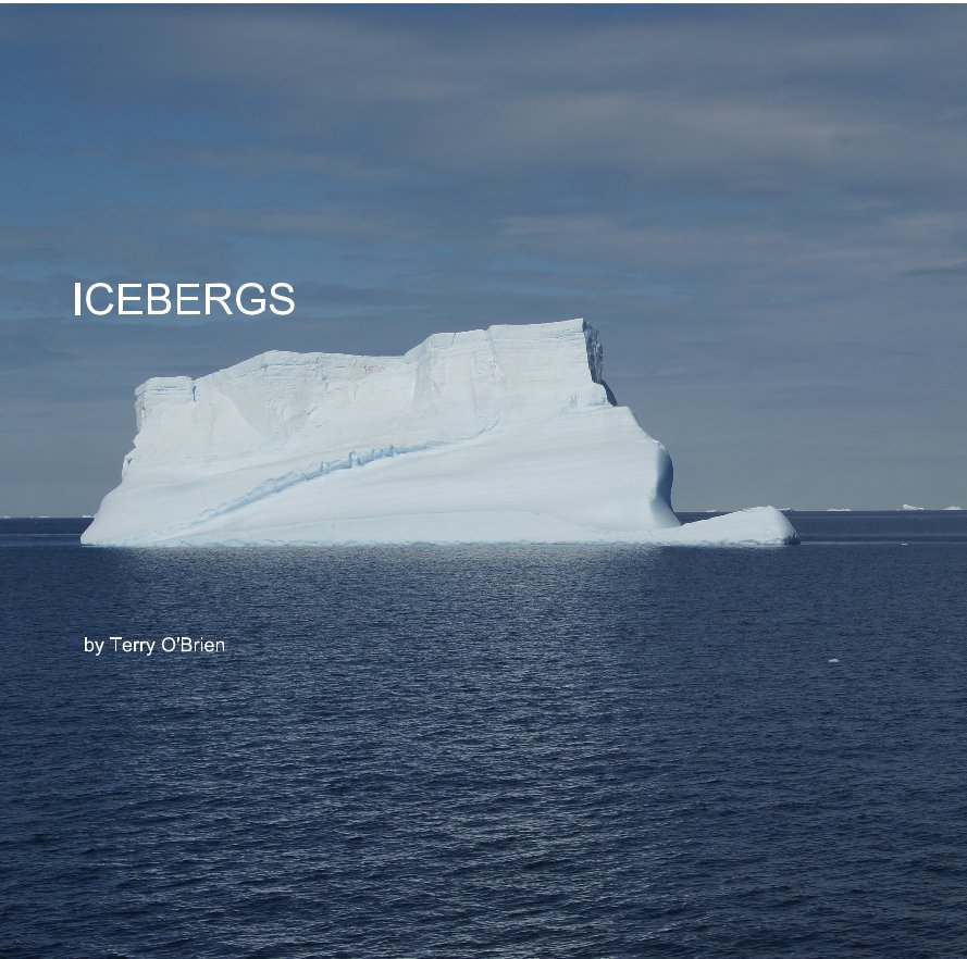 View ICEBERGS by Terry O'Brien