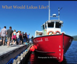 What Would Lukas Like? book cover