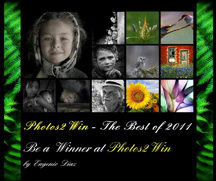 View Photos2Win - The Best of 2011
(Standard Landscape Format) by Eugenio Diaz