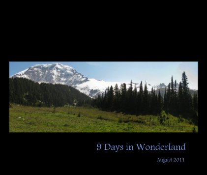 9 Days in Wonderland book cover