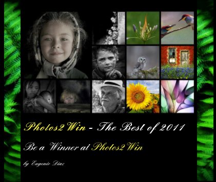 Photos2Win - The Best of 2011
(Large Landscape Format) book cover