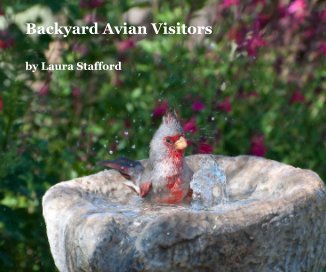Backyard Avian Visitors book cover