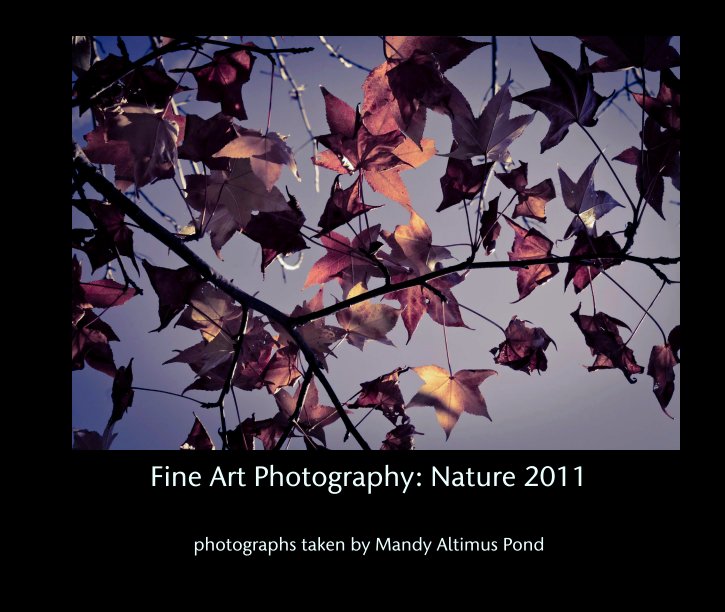 Fine Art Photography: Nature 2011 nach photographs taken by Mandy Altimus Pond anzeigen