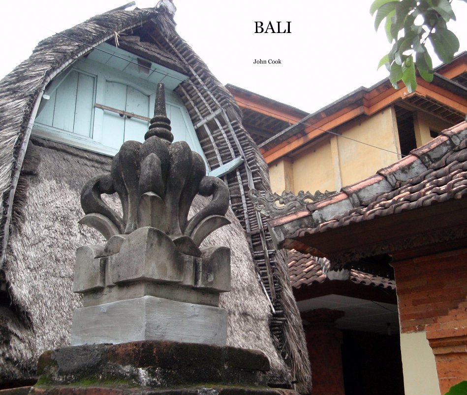 View BALI by John Cook