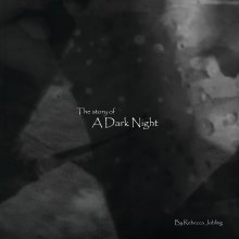 the Story of a Dark Night book cover