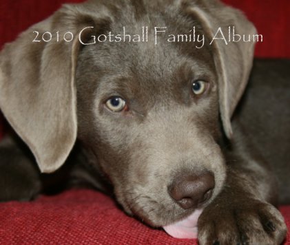 2010 Gotshall Family Album book cover