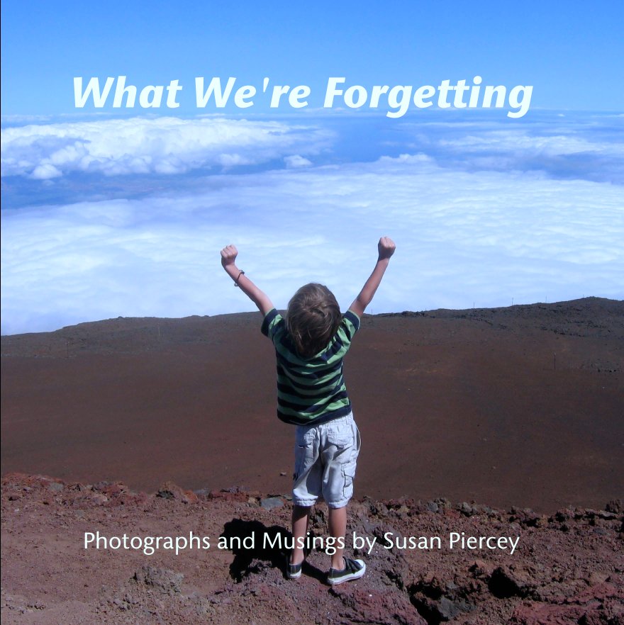View What We're Forgetting by Photographs and Musings by Susan Piercey