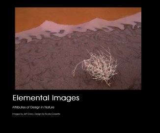 Elemental Images book cover